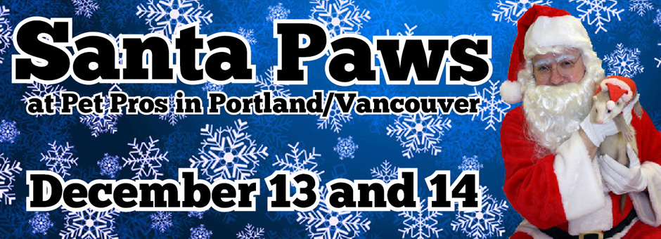 Santa Paws